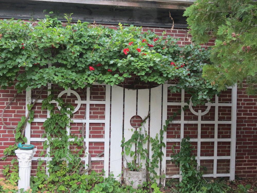 Silver Fountain Inn Dover Exterior foto